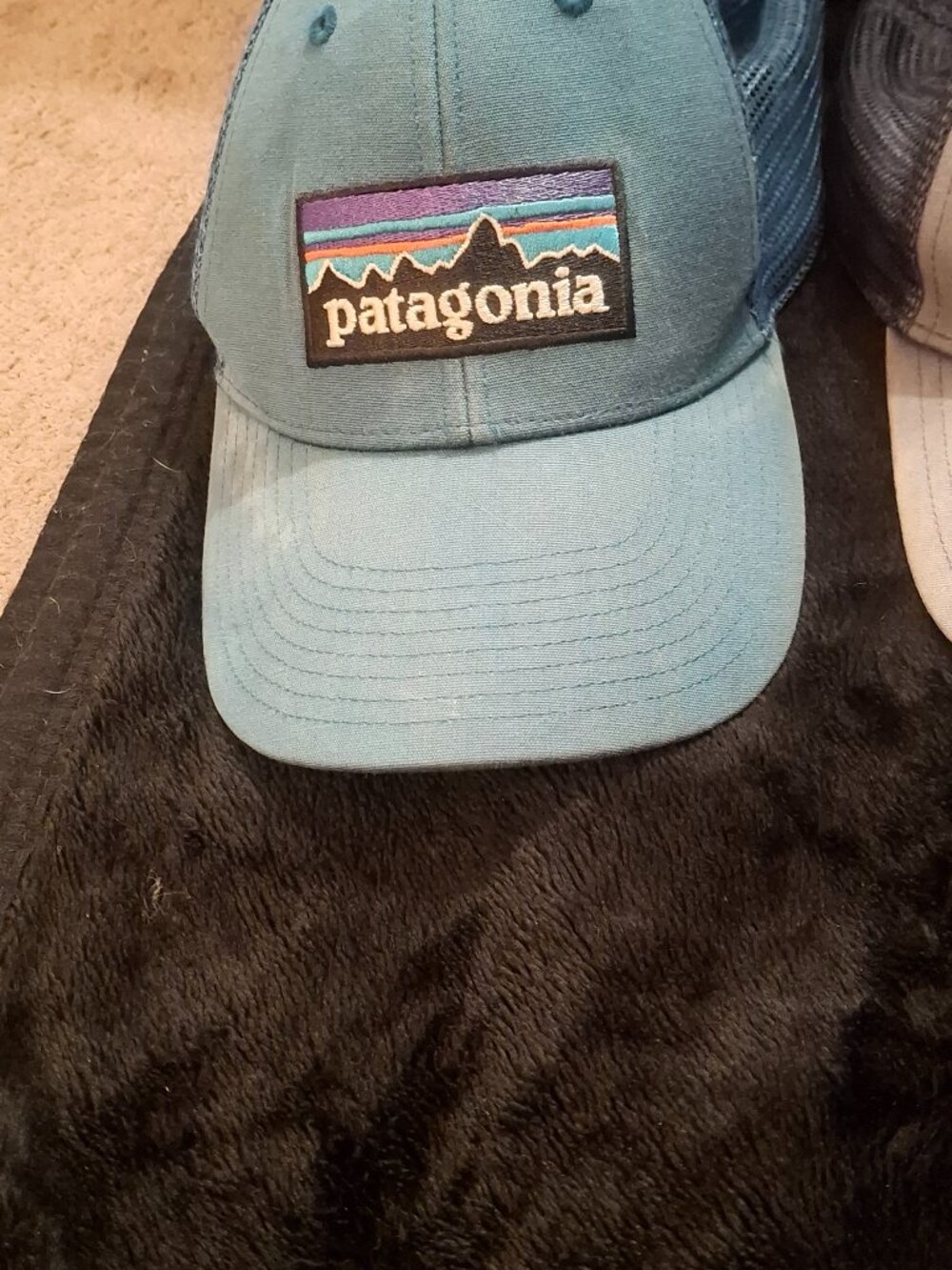 Patagonia snap back hats